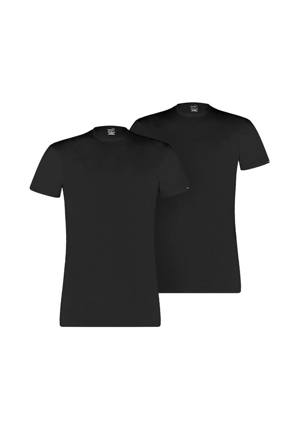 Koszulka męska Puma Basic 2p Crew Tee. Kolor: czarny