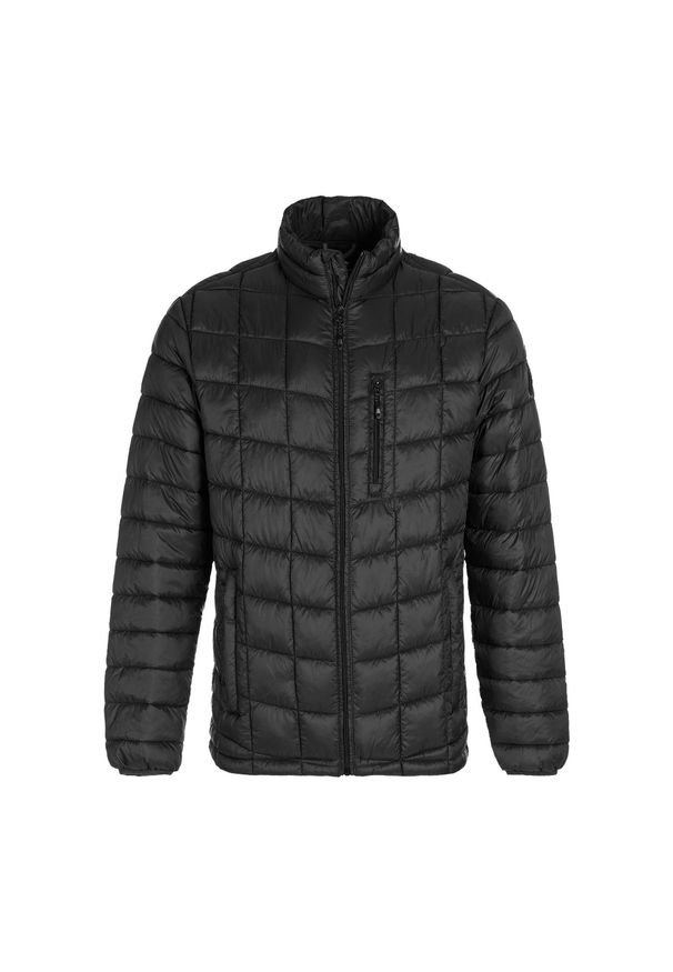 Kurtka męska Whistler Luis. Kolor: czarny. Materiał: puch. Sport: turystyka piesza