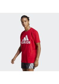 Adidas - Koszulka męska adidas Essentials. Kolor: czerwony. Materiał: bawełna, dzianina. Sport: fitness