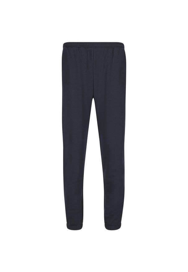 ENDURANCE - Spodnie dziecięce Endurance Arlanc. Kolor: niebieski. Sport: joga i pilates