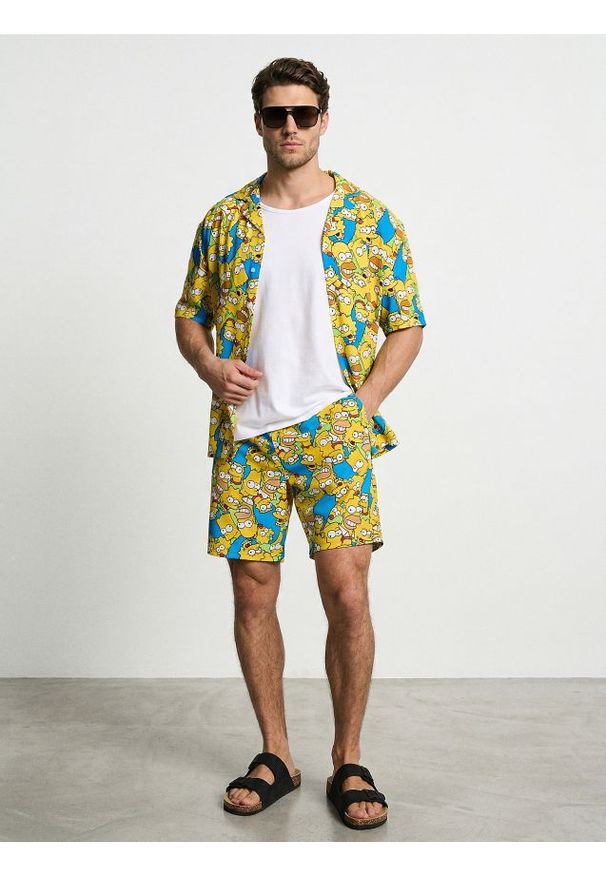Sinsay - Szorty The Simpsons - wielobarwny