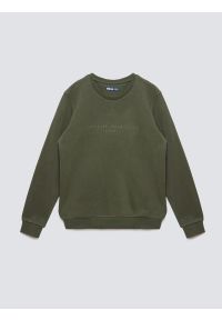 Big-Star - Bluza męska ze splotem pique khaki Wiron 303. Okazja: na co dzień. Kolor: zielony. Materiał: jeans, tkanina, materiał, dzianina. Wzór: ze splotem. Styl: klasyczny, casual