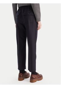 Weekend Max Mara Spodnie materiałowe Hataley 2525136022 Granatowy Regular Fit. Kolor: niebieski. Materiał: wełna #4