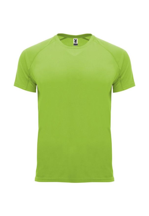 ROLY - Męska Koszulka Sportowa Z Krótkim Rękawem Bahrain. Kolor: szary. Długość rękawa: krótki rękaw. Długość: krótkie. Sport: turystyka piesza