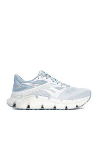 Reebok Buty do biegania EO-FLOATZIG 2 100225509 Niebieski. Kolor: niebieski. Materiał: materiał #1