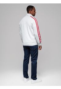 Ombre Clothing - Męska bluza dresowa z wysokim kołnierzem i lampasami – szary melanż V1 OM-SSZP-0219 - XXL. Kolor: szary. Materiał: dresówka. Długość rękawa: raglanowy rękaw. Wzór: melanż. Styl: retro, sportowy #8