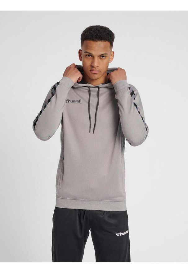 Bluza do piłki ręcznej męska Hummel hml AUTHENTIC Poly. Kolor: szary