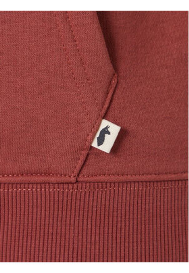 Cotopaxi Bluza Llama Patch Pullover Hoodie F24474M1161 Miedziany Regular Fit. Kolor: brązowy. Materiał: syntetyk