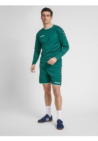 Dżersej z długim rękawem Hummel hmlAUTHENTIC poly. Kolor: zielony. Materiał: jersey. Długość rękawa: długi rękaw. Długość: długie. Sport: fitness