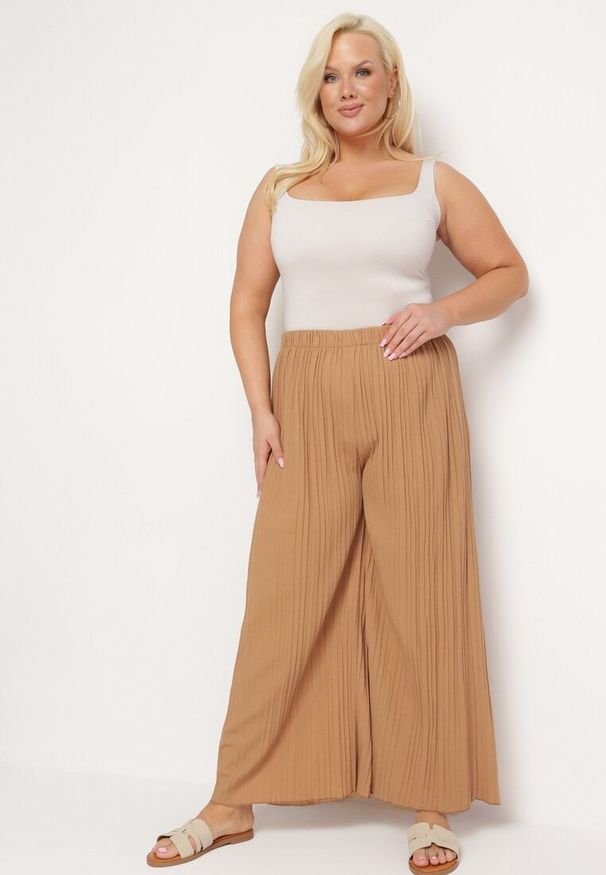 Born2be - Brązowe Szerokie Spodnie z Plisowanej Tkaniny z Gumką w Pasie Cesele. Kolekcja: plus size. Kolor: brązowy. Materiał: tkanina. Styl: elegancki