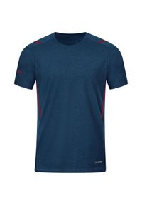 Jersey Jako Challenge. Kolor: brązowy, niebieski, wielokolorowy. Materiał: jersey