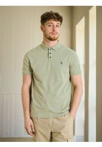 Sinsay - Bawełniana koszulka polo - zielony. Typ kołnierza: polo. Kolor: zielony. Materiał: bawełna #1