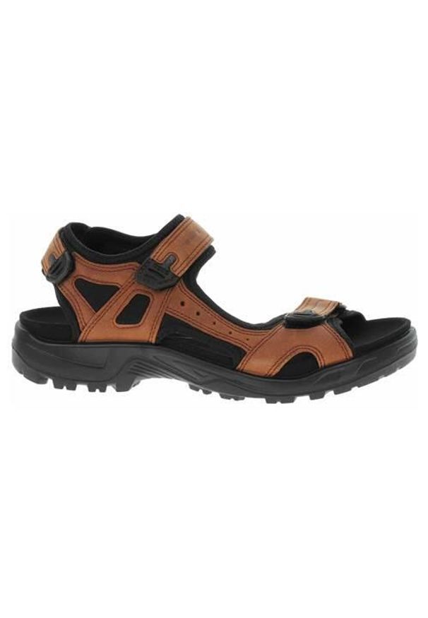ecco - Buty trekkingowe męskie Ecco Offroad Sierra. Zapięcie: rzepy. Kolor: brązowy. Materiał: materiał, skóra, syntetyk