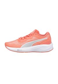 Puma - Buty do biegania PUMA Aviator Profoam Sky 12. Kolor: różowy. Sport: bieganie