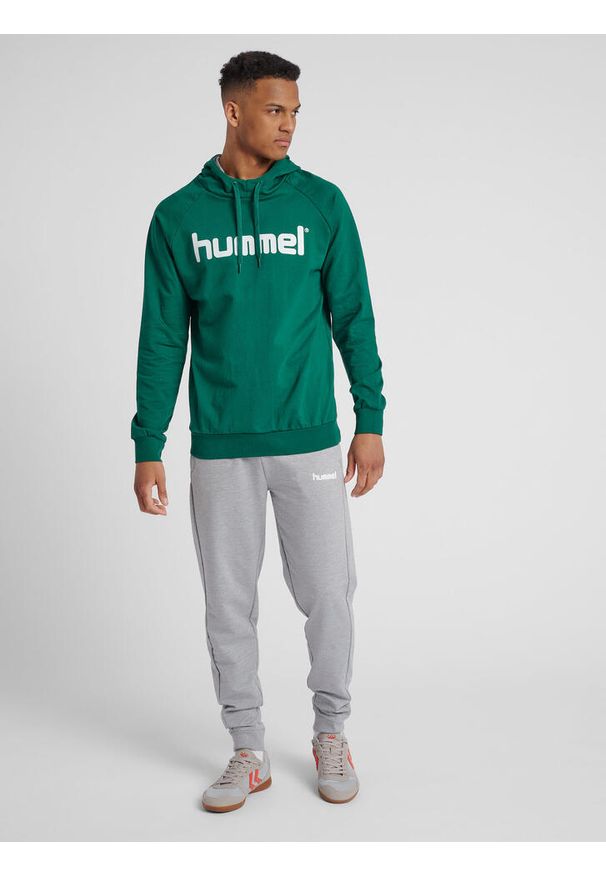 Bluza do piłki ręcznej męska Hummel Cotton Logo z kapturem. Typ kołnierza: kaptur. Kolor: biały, zielony, wielokolorowy