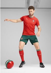 Puma - Męskie szorty Portugalia 2025 PUMA Blessing Green Sugared Almond Beige. Kolor: wielokolorowy, beżowy, zielony