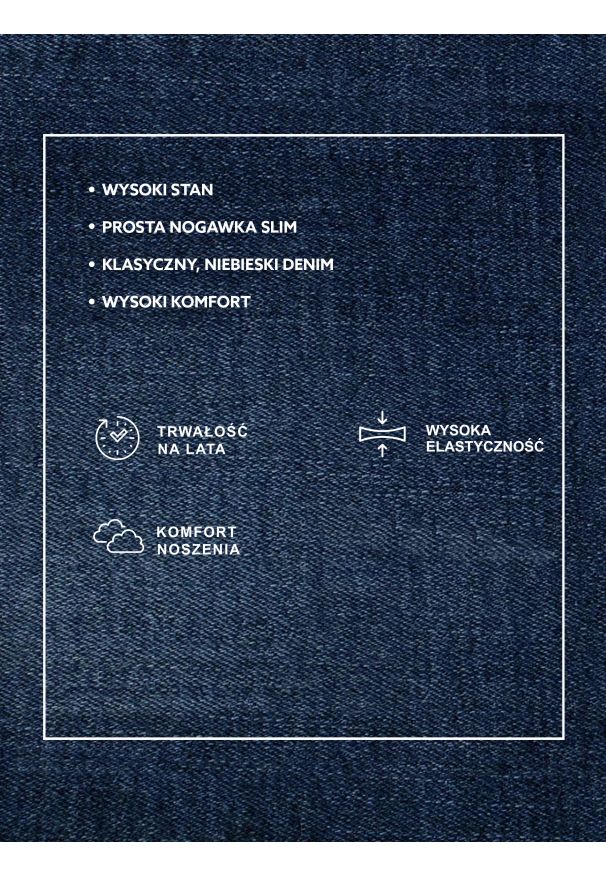 Big-Star - Jeansy damskie z wysokim stanem niebieskie Katrina High Waist 344. Okazja: na co dzień. Stan: podwyższony. Kolor: niebieski. Styl: klasyczny, elegancki, casual