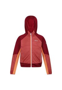 Regatta - Kurtka Softshellowa Dziecięca Z Kapturem Prenton II. Typ kołnierza: kaptur. Kolor: czerwony. Materiał: softshell. Styl: sportowy
