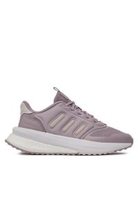 Adidas - adidas Sneakersy X_PLR Phase ID0437 Fioletowy. Kolor: fioletowy. Materiał: materiał, mesh. Model: Adidas X_plr #1