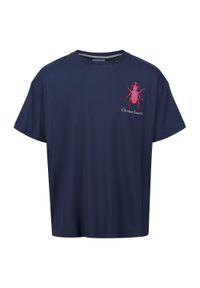 Aramon CLR Regatta męska turystyczna koszulka. Kolor: niebieski. Materiał: bawełna. Długość rękawa: krótki rękaw. Długość: krótkie