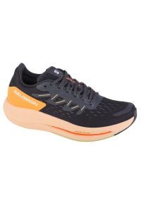 salomon - Buty do biegania Salomon Spectur W 415893 szare. Kolor: szary. Materiał: tkanina, syntetyk, guma