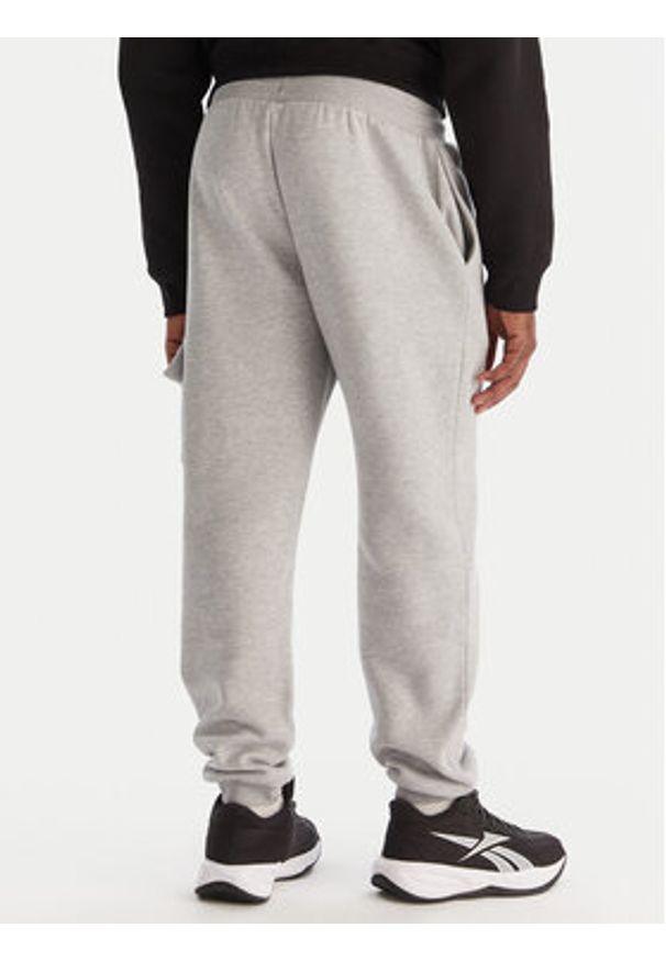Reebok Spodnie dresowe Wada RK25147CCM Szary Regular Fit. Kolor: szary. Materiał: bawełna