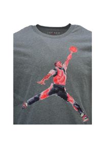 Koszulka sportowa męska Air Jordan Brand Graphic T-shirt. Kolor: szary #2