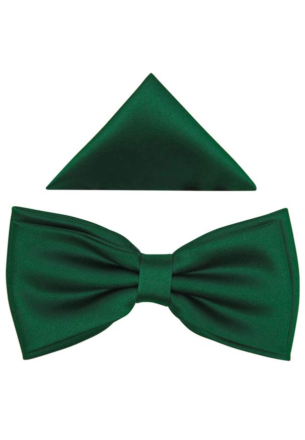 Zielona muszka elegancka