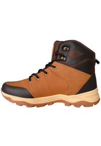 Buty Lee Cooper M LCJ-23-01-2046M brązowe. Okazja: na co dzień. Kolor: brązowy. Materiał: syntetyk, materiał, guma. Szerokość cholewki: normalna #4