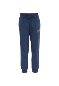 Spodnie dresowe dla dzieci Hummel Fast. Kolor: niebieski. Materiał: dresówka. Sport: joga i pilates