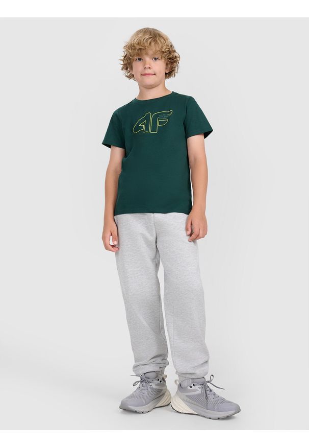 4f - 4F T-shirt regular z nadrukiem chłopięcy - zielony 158 (12-13 lat). Okazja: na co dzień. Kolor: turkusowy. Materiał: jersey, bawełna, materiał. Długość rękawa: krótki rękaw. Długość: krótkie. Wzór: nadruk. Sezon: lato. Styl: sportowy, klasyczny, casual
