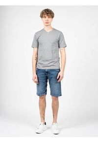 Pepe Jeans T-Shirt "2-Pack Aiden" | PM503655 | Mężczyzna | Szary. Okazja: na co dzień. Typ kołnierza: dekolt w kształcie V. Kolor: szary. Materiał: bawełna. Wzór: aplikacja. Styl: casual