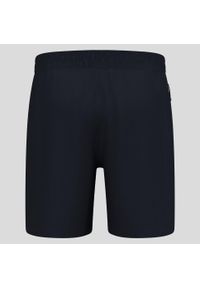Męskie szorty treningowe Odlo Zeroweight Active Shorts. Kolor: czarny