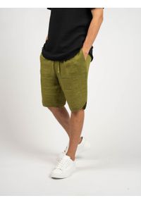 Xagon Man Szorty "Lino" | P2203 2V 58700 | Mężczyzna | Zielony. Okazja: na co dzień. Kolor: zielony. Materiał: len. Styl: casual #5