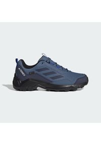 Adidas - Buty Terrex Eastrail GORE-TEX Hiking. Kolor: niebieski. Technologia: Gore-Tex. Model: Adidas Terrex