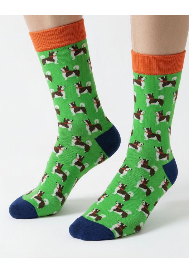 His Story - Skarpetki Bawełniane - Tematyczne - Zielone w Pieski. Kolor: zielony. Materiał: poliamid, bawełna, elastan