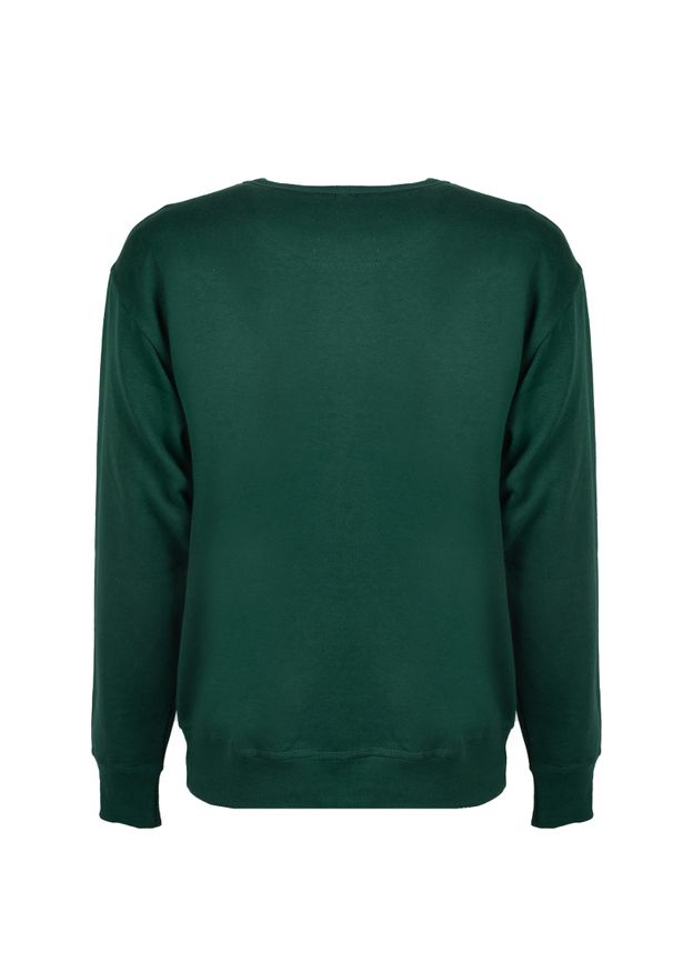 Champion Bluza | HBGF88HY07718 | Mężczyzna | Zielony. Okazja: na co dzień. Kolor: zielony. Materiał: bawełna, poliester. Styl: casual