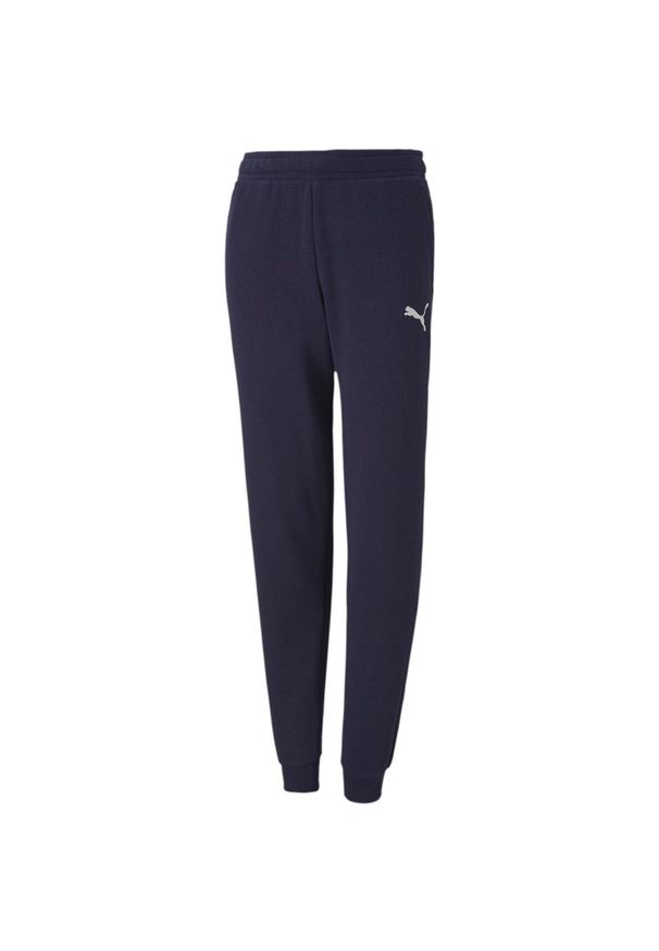 Spodnie dla dzieci Puma spodnie teamGOAL 23 Casuals Pants Jr granatowe. Kolor: niebieski