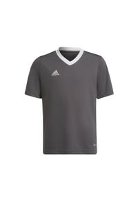 Adidas - Koszulka piłkarska dla dzieci adidas Entrada 22 Jersey. Kolor: szary. Materiał: jersey. Sport: piłka nożna #1