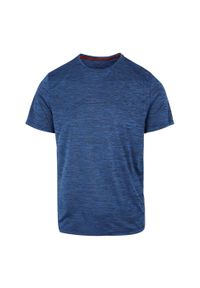 Regatta - T-shirt Męski Melanżowy Fingal Edition. Kolor: zielony. Wzór: melanż