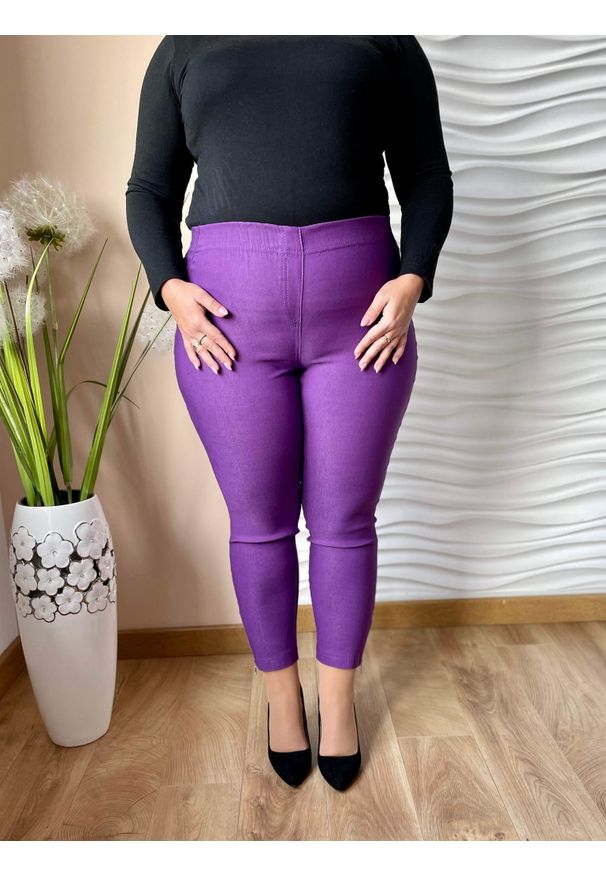 Nasi partnerzy - Fioletowe spodnie chinosy Nina z zamkami 7/8 PLUS SIZE XXL. Okazja: do pracy, na spacer, na co dzień. Kolekcja: plus size. Kolor: fioletowy. Materiał: wiskoza, poliester, materiał, włókno, elastan, tkanina. Długość: krótkie. Styl: casual