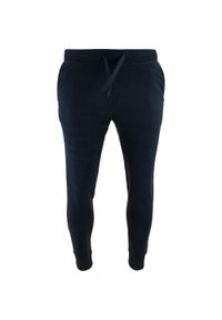 ZOOPLEMENTS - Spodnie dresowe męskie Athl. DPT. Emisfero, Rib Micro Blue, S. Kolor: niebieski. Materiał: dresówka #1