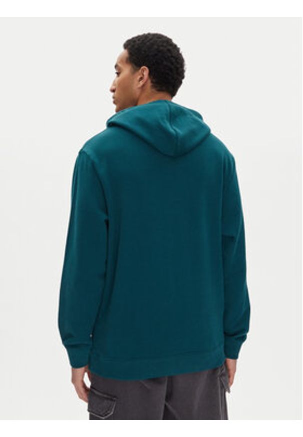 DC Shoes Bluza ADYSF03099 Zielony Relaxed Fit. Kolor: zielony. Materiał: bawełna
