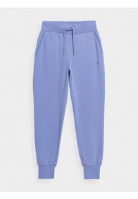4f - Spodnie dresowe joggery damskie. Kolor: niebieski. Materiał: dresówka