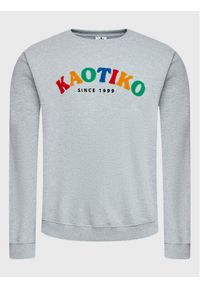 Kaotiko Bluza Helder AL050-01-G002 Szary Relaxed Fit. Kolor: szary. Materiał: bawełna, syntetyk