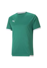 Koszulka męska Puma teamLIGA Jersey. Kolor: biały, zielony, wielokolorowy. Materiał: jersey #1