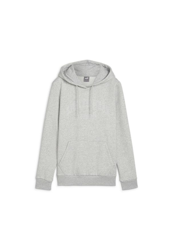 Bluza sportowa damska Puma Ess+ Logo Lab Fl. Kolor: szary