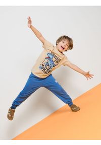 Sinsay - Koszulka z motywem dinozaura - beżowy. Kolor: beżowy