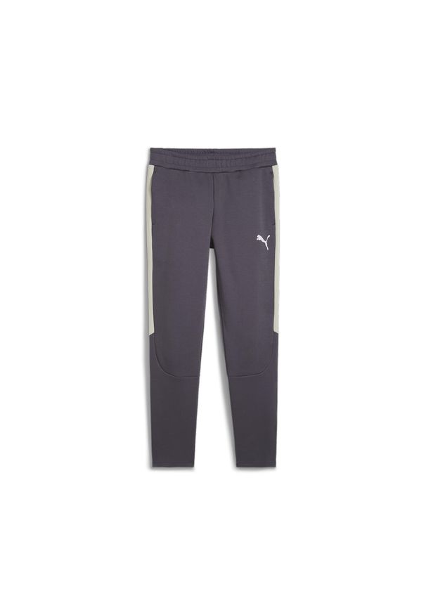 Puma - Męskie spodnie EVOSTRIPE PUMA Galactic Gray. Kolor: szary. Sport: fitness