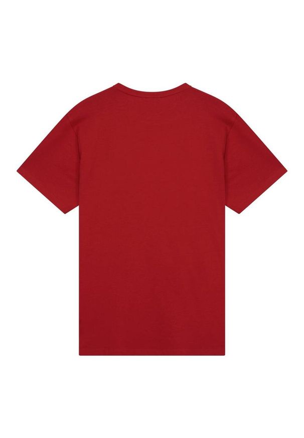 ARSENAL - Koszulka męska Arsenal. Kolor: czerwony. Sport: piłka nożna